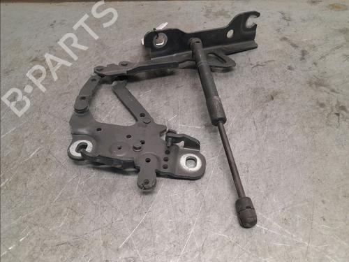 Hinge/Door check strap BMW 3 Touring (F31) 316 d | BP16130371C146