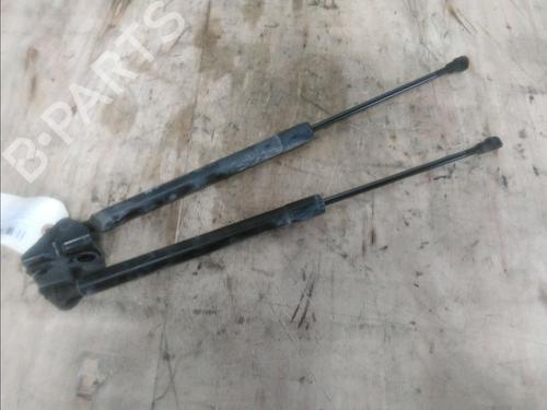 Used Tailgate lift support PEUGEOT 208 I (CA_, CC_) 1.6 HDi (92 hp) 14857724