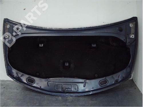 Hood RENAULT CLIO III (BR0/1, CR0/1) 1.5 dCi (BR17, CR17) | BP9410575C1 