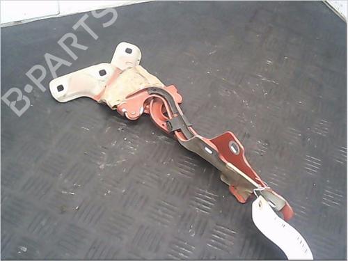 Used Hinge/Door check strap RENAULT CLIO III (BR0/1, CR0/1) 1.5 dCi (C/BR0G, C/BR1G) (68 hp) 14857339