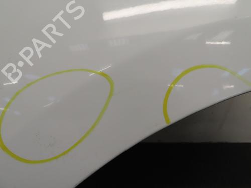 Forskærm venstre DACIA SANDERO II 1.2 | BP30332473C41 