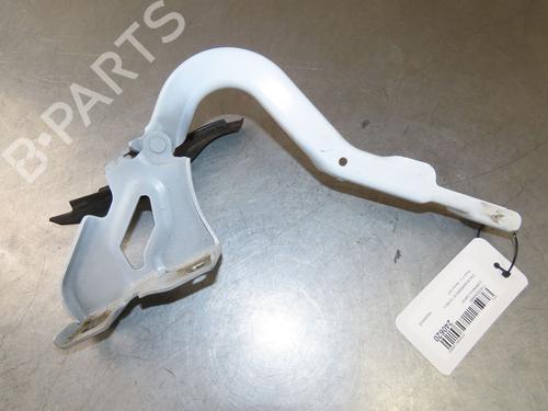 Hinge/Door check strap DACIA SANDERO III 1.0 SCe 65 | BP28082528C146 