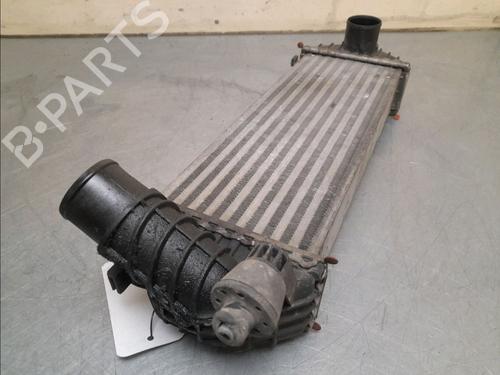Other RENAULT KANGOO Express (FW0/1_) 1.5 dCi 70 (FW0A, KW0V) | BP16188377O1 