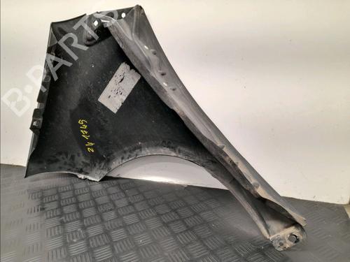 Right front fenders MERCEDES-BENZ A-CLASS (W169) A 180 CDI (169.007, 169.307) | BP22366835C42 