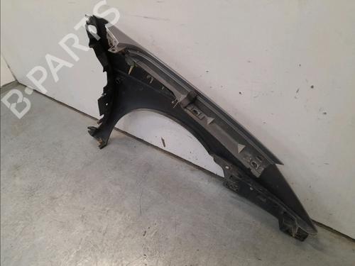 Left front fenders RENAULT SCÉNIC I MPV (JA0/1_, FA0_) 2.0 16V (JA1B, JA1D, JA0C) | BP16015258C41 
