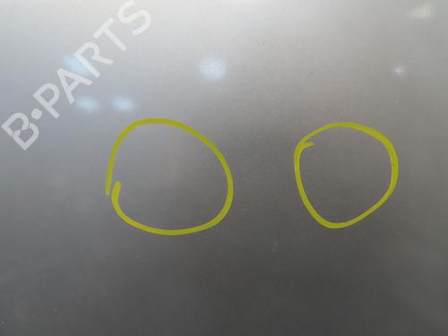 Hood BMW 3 Touring (E91) 320 d xDrive | BP23558057C1 