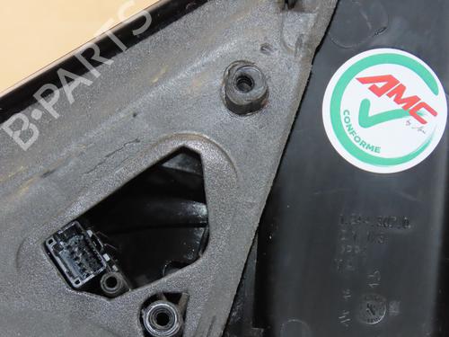 Retrovisor direito RENAULT CLIO III (BR0/1, CR0/1) 1.5 dCi (BR17, CR17) (86 hp) 31151589