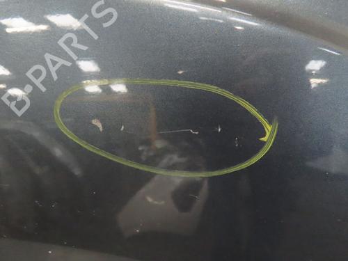 Left front door FIAT DUCATO Van (250_) 180 Multijet 2,3 D | BP24870809C2 