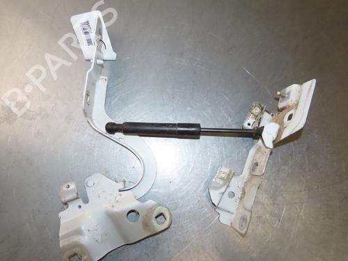 Hinge/Door check strap RENAULT ZOE (BFM_) ZOE | BP29380716C146 