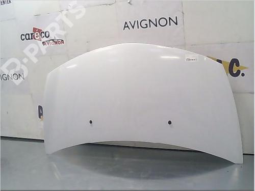 Used Hood RENAULT CLIO III (BR0/1, CR0/1) 1.5 dCi (C/BR0G, C/BR1G) (68 hp) 9406555