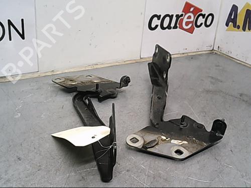 Used Hinge/Door check strap RENAULT MEGANE III Hatchback (BZ0/1_, B3_) 1.5 dCi (BZ0C) (90 hp) 14857313