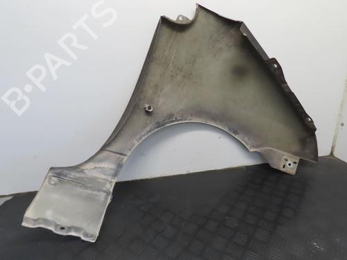 Left front fenders RENAULT TWINGO I (C06_) 1.2 16V (C06C, C06D, C06K) | BP19411841C41 
