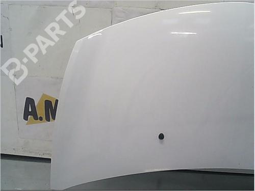 Hood RENAULT CLIO III (BR0/1, CR0/1) 1.5 dCi (C/BR0G, C/BR1G) | BP9406555C1 