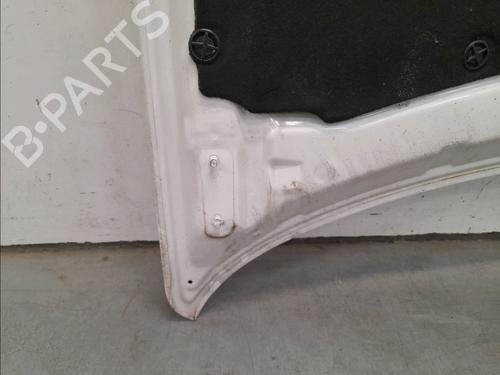 Hood NISSAN QASHQAI I (J10, NJ10) 1.5 dCi | BP24344064C1