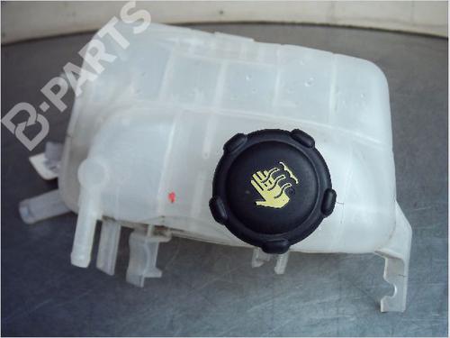 Used Expansion tank RENAULT SCÉNIC III (JZ0/1_) 1.6 dCi (JZ00, JZ12) (130 hp) 11131154