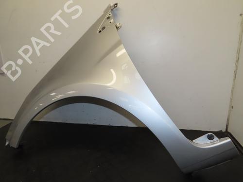 Left front fenders RENAULT CLIO III (BR0/1, CR0/1) 1.5 dCi | BP30332468C41