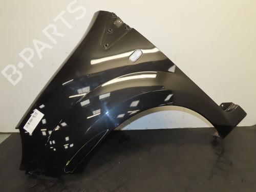 Left front fenders RENAULT TWINGO II (CN0_) 1.2 16V (CN0K, CN0V, CN0A) | BP29016785C41 