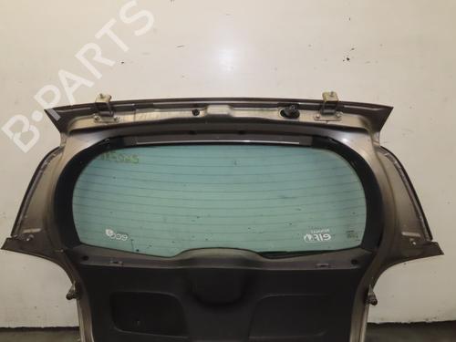 Tailgate RENAULT CLIO III (BR0/1, CR0/1) 1.5 dCi (C/BR0G, C/BR1G) | BP30366575C6