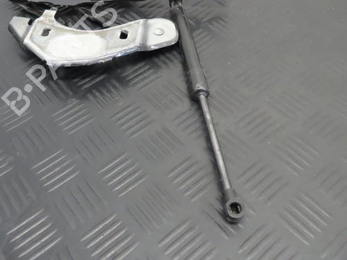 Hinge/Door check strap AUDI A1 (8X1, 8XK) 1.2 TFSI | BP19133021C146