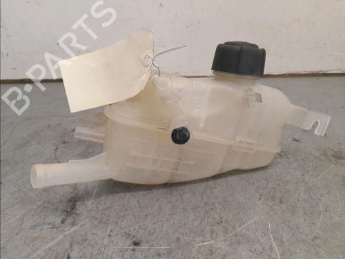 Expansion tank RENAULT MEGANE III Coupe (DZ0/1_) 2.0 TCe (DZ1N) | BP14944624C120