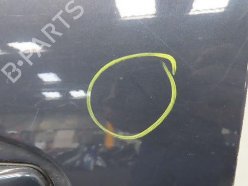 Left front door FORD C-MAX II (DXA/CB7, DXA/CEU) 1.6 TDCi | BP20313968C2 