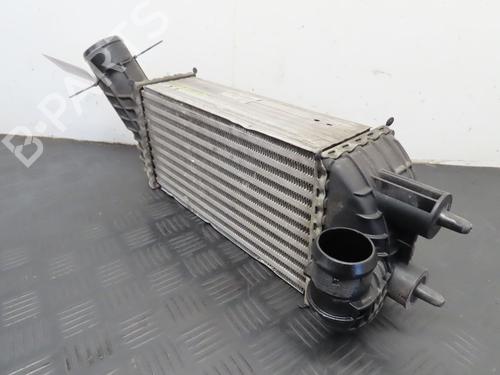 Intercooler CITROËN DS5 2.0 HDi 165 | BP22366046M30 - Image 5