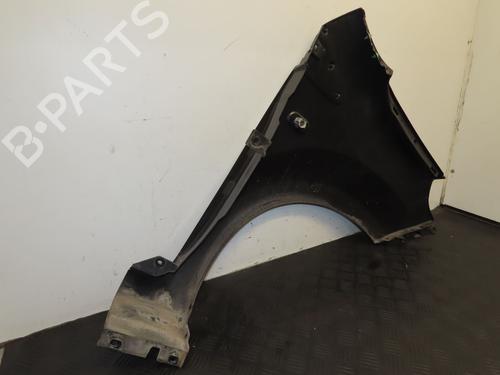 Left front fenders RENAULT TWINGO II (CN0_) 1.2 16V (CN0K, CN0V, CN0A) | BP29016785C41 