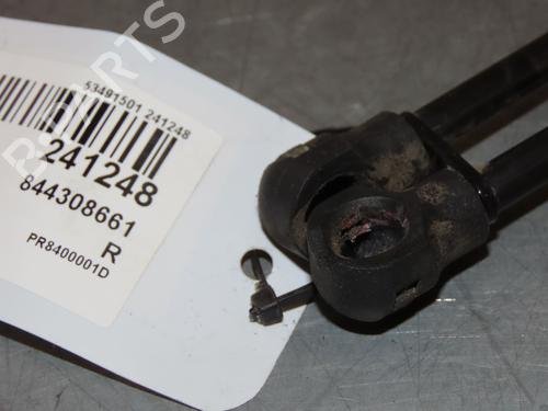 Tailgate lift support RENAULT CLIO IV (BH_) 1.5 dCi 90 | BP22367624C138