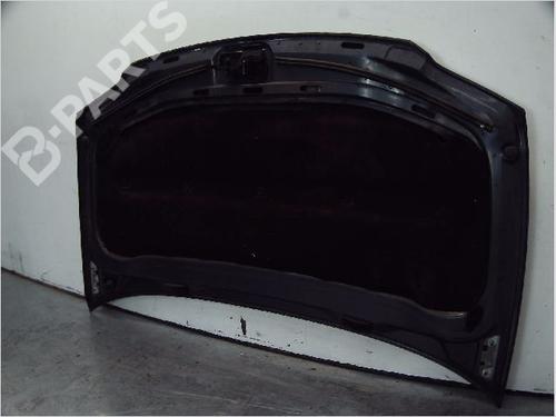 Hood VW TOURAN (1T1, 1T2) 1.9 TDI | BP10419593C1 