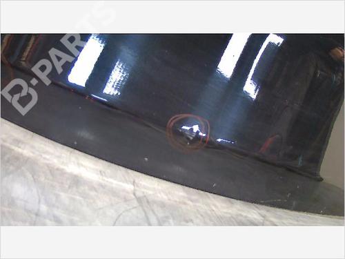 Left front door BMW 1 (E81) 116 d | BP9409462C2 
