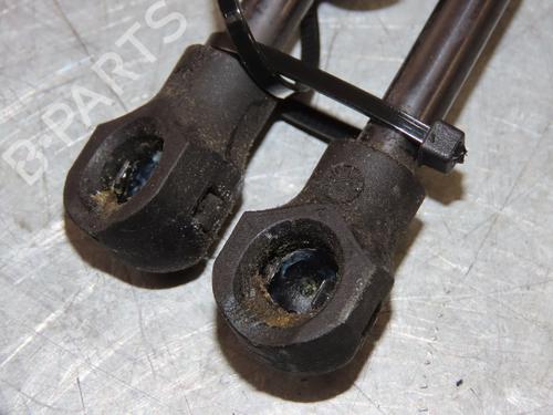 Used Hood lift support RENAULT KANGOO Express (FW0/1_) 1.5 dCi 90 (FW0G, FW05, FW08, FW11) (90 hp) 29263627