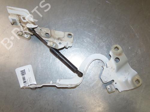 Hinge/Door check strap RENAULT ZOE (BFM_) ZOE | BP29380716C146 