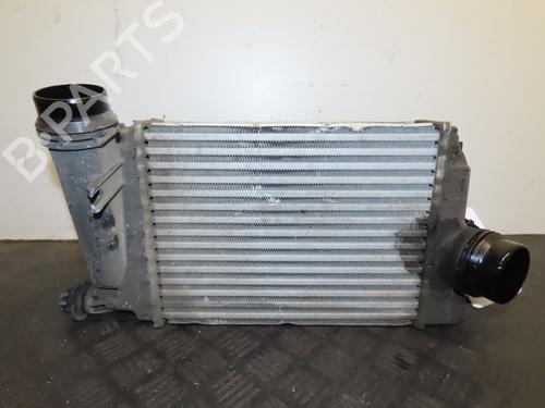 Intercooler RENAULT KADJAR (HA_, HL_) 1.5 dCi 110 (HLA3) | BP39966657M30 - Image 5