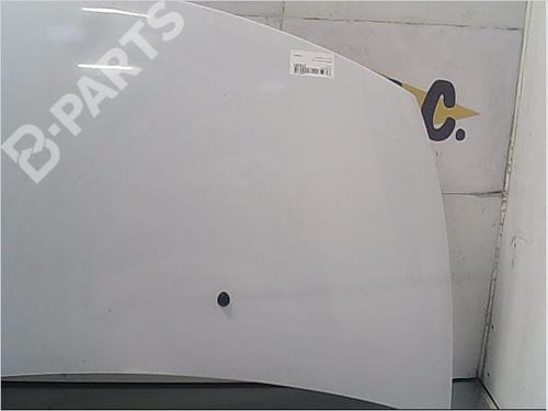 Hood RENAULT CLIO III (BR0/1, CR0/1) 1.5 dCi (C/BR0G, C/BR1G) | BP9406555C1 
