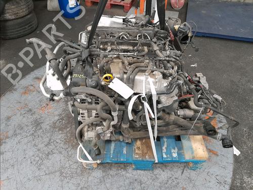 Engine VW GOLF VII (5G1, BQ1, BE1, BE2) 1.6 TDI | BP29516741M1 