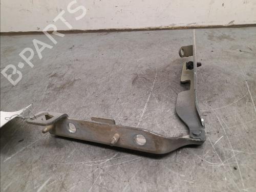 Hinge/Door check strap CITROËN C3 I (FC_, FN_) 1.4 HDi | BP16146183C146 