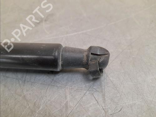 Tailgate lift support CITROËN C3 III (SX) 1.2 VTi 82 | BP14946001C138