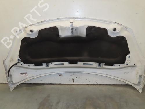 Hood CITROËN DS3 (SA_) 1.6 HDi 110 | BP29985808C1
