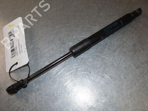 Hood lift support RENAULT SCÉNIC IV (J9_) 1.2 TCe 130 | BP29294005C139 