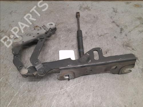 Hinge/Door check strap BMW 3 Touring (F31) 316 d | BP16130371C146