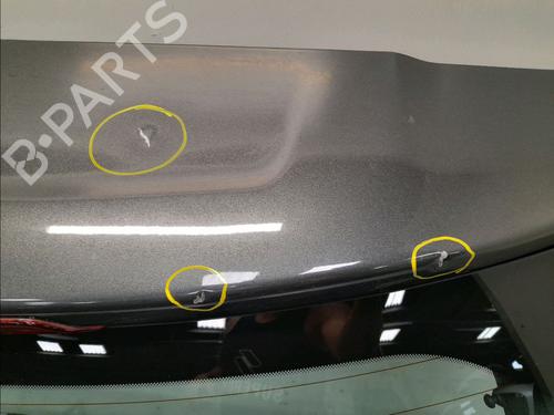 Tailgate CITROËN C3 II (SC_) 1.4 HDi 70 (SC8HZC, SC8HR0, SC8HP4) | BP14945933C6 