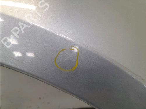 Right front fenders FORD S-MAX (WA6) 2.0 TDCi | BP14945365C42