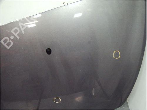 Panser Panser RENAULT CLIO III (BR0/1, CR0/1) 1.5 dCi (BR17, CR17) (86 hp) 9410575 9410575