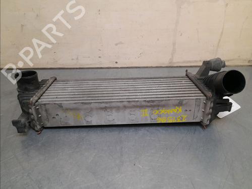 Other RENAULT KANGOO Express (FW0/1_) 1.5 dCi 70 (FW0A, KW0V) | BP16188377O1 