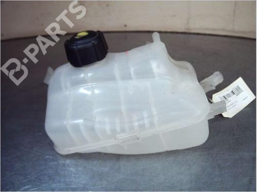 Expansion tank RENAULT SCÉNIC III (JZ0/1_) 1.6 dCi (JZ00, JZ12) | BP11131154C120 
