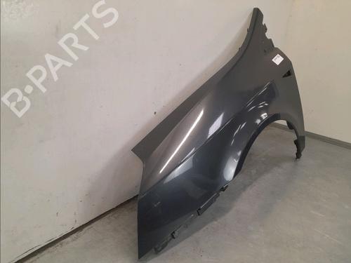Left front fenders RENAULT VEL SATIS (BJ0_) 2.2 dCi (BJ0E, BJ0F, BJ0G, BJ0H) | BP14945370C41 