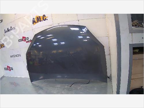 Hood DACIA SANDERO 1.4 (BS0C, BS0A, BS0G, BS1F, BS0E) | BP9406706C1