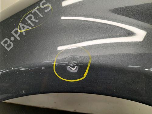 Left front fenders KIA CEE'D Hatchback (ED) 1.6 CRDi 90 | BP22381730C41