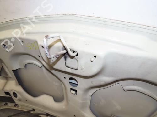 Used Hood RENAULT TWINGO II (CN0_) 1.5 dCi 75 (75 hp) 28685689