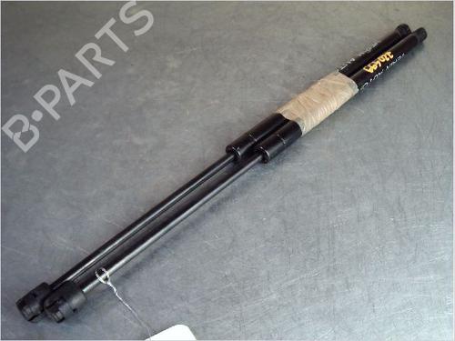 Tailgate lift support RENAULT SCÉNIC II (JM0/1_) 1.9 dCi (JM0G, JM12, JM1G, JM2C) | BP14857634C138 